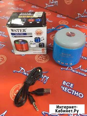 Колонка портативная Wster WS-Y90 (Фуг) Омск - изображение 1