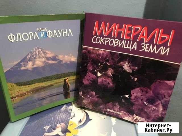 Папки разные для офиса и дома Саратов - изображение 1