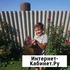 Свежая рыба Богучар - изображение 1