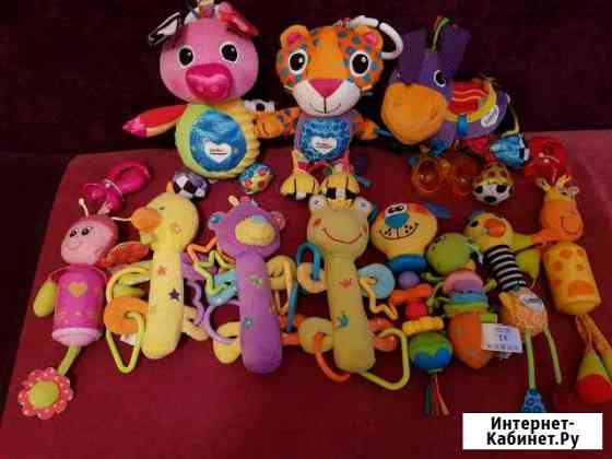 Развивающие игрушки Псков