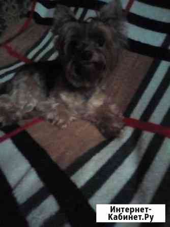 Кукольный мальчик Саратов