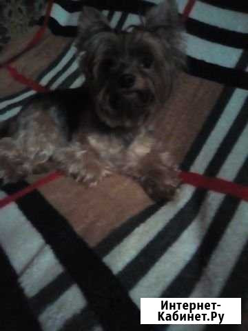 Кукольный мальчик Саратов - изображение 1