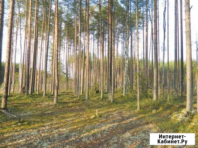 Участок 11 сот. (ИЖС) Краснозатонский - изображение 1