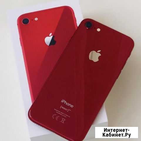iPhone 8 64 красный Тамбов - изображение 1