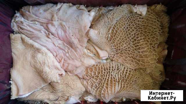 Корм для собак Набережные Челны - изображение 1