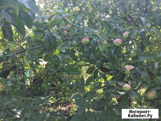Участок 6 сот. (СНТ, ДНП) Ульяновск - изображение 1
