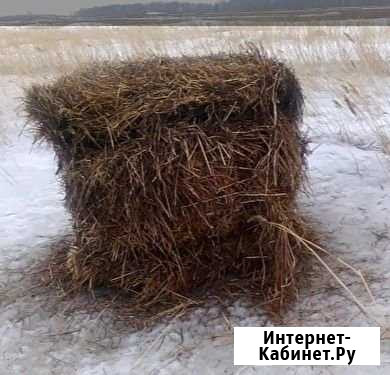 Сено в тюках Ужур - изображение 1