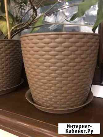 Горшок с землей Красноярск