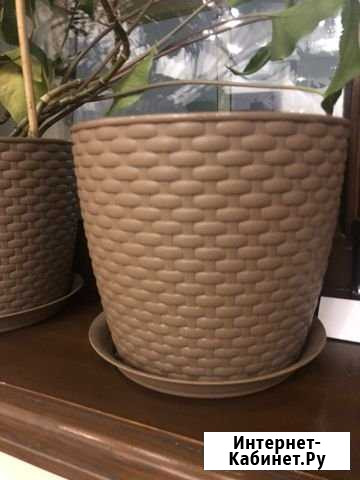 Горшок с землей Красноярск - изображение 1