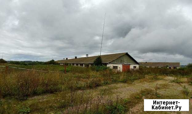 Аренда с/х площадки с газом и электричеством, 1000 Смоленск - изображение 1