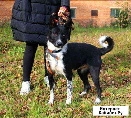 Афина ищет дом Тула