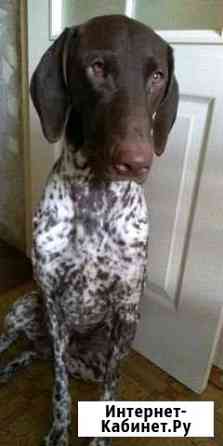 Ищу даму сердца Воронеж