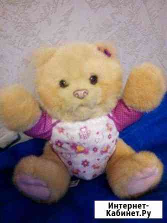 Медведь интерактивный Калуга