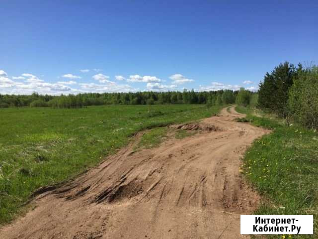 Участок 90 га (СНТ, ДНП) Шипицыно - изображение 1