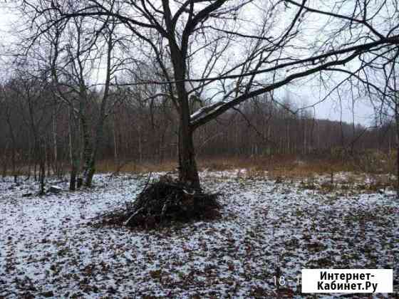 Участок 15 сот. (ИЖС) Кольчугино
