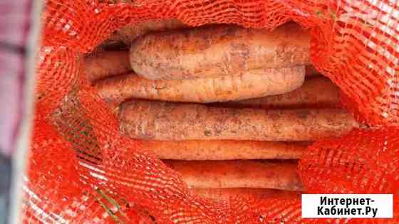 Продам морковь арзамасс Арзамас