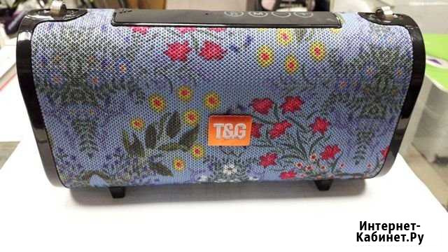 Колонка T&G Заозерный - изображение 1