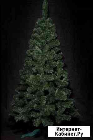 Елка новогодняя «Сказка». Не сосна Киров