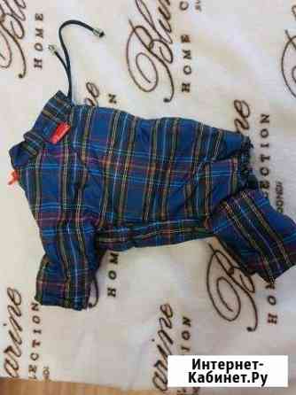 Дождевик для собак Волгоград