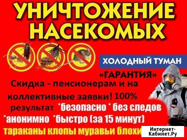 Уничтожение насекомых всех видов Ставрополь - изображение 1
