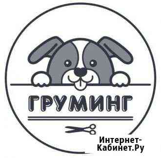 Стрижка собак и кошек Кашира