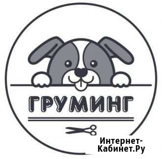 Стрижка собак и кошек Кашира - изображение 1