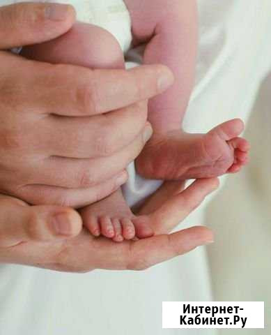 Фотограф на роды Мытищи - изображение 1