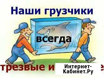 Услуги грузчиков, разнорабочих, земликопов Владимир - изображение 1
