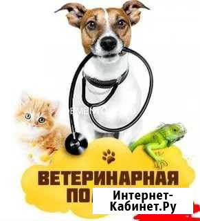 Кастрация Черногорск - изображение 1