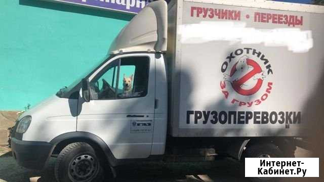 Перевозки,Грузчики,вывоз мусора,грузоперевозки Тучково - изображение 1