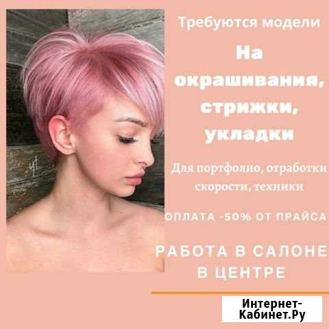 Модель на окрашивание Хабаровск - изображение 1
