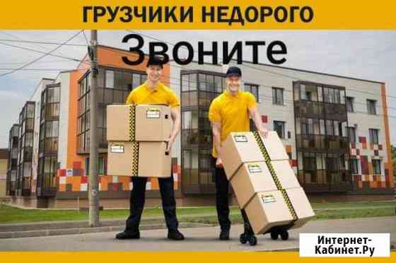 Грузчики Воронеж
