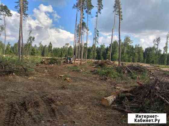 Рубка валка леса. Спилить дерево Москва