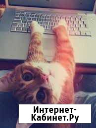 Компьютерная помощь / пк мастер / ремонт спб Пушкин - изображение 1