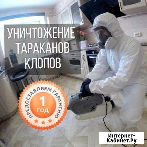 Травим клопов, тараканов Ангарск - изображение 1