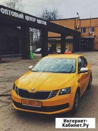 Аренда Skoda Octavia 1.6 150 л.с. Корона Яндекс Домодедово