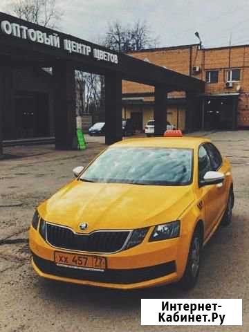 Аренда Skoda Octavia 1.6 150 л.с. Корона Яндекс Домодедово - изображение 1