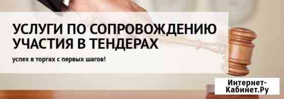 Сопровождение торгов Альметьевск