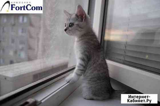 Ремонт пластиковых окон и Балконов Москва