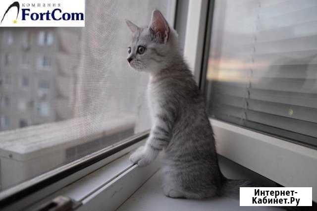 Ремонт пластиковых окон и Балконов Москва - изображение 1