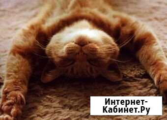 Массаж оздоровительный, общеукрепляющий Орёл - изображение 1