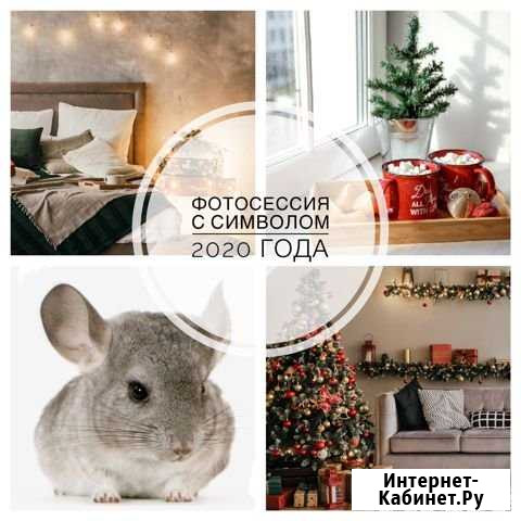 Новогодняя фотосессия с символом 2020 года (с шинш Екатеринбург - изображение 1