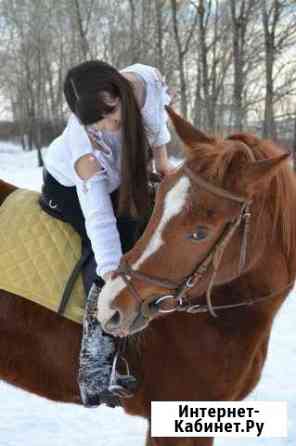 Конные прогулки Нижний Тагил