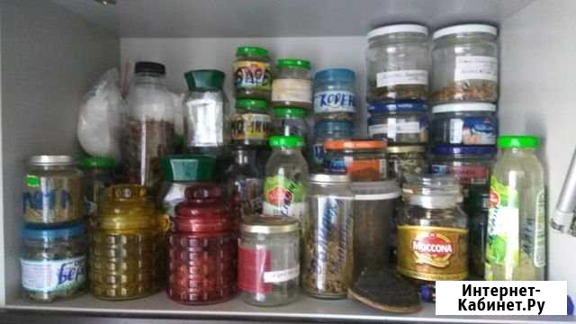 Народное Целительство травами Дивногорск - изображение 1