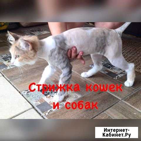 Стрижка Армавир - изображение 1