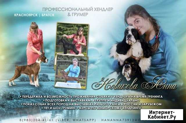 Стрижка собак и кошек, показ на выставках Красноярск - изображение 1