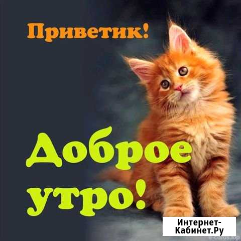 Обучение лазерной эпиляции Хабаровск - изображение 1