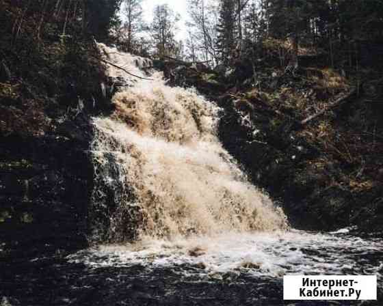 Профессиональный фотограф Липецк