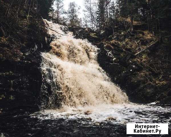 Профессиональный фотограф Липецк - изображение 1