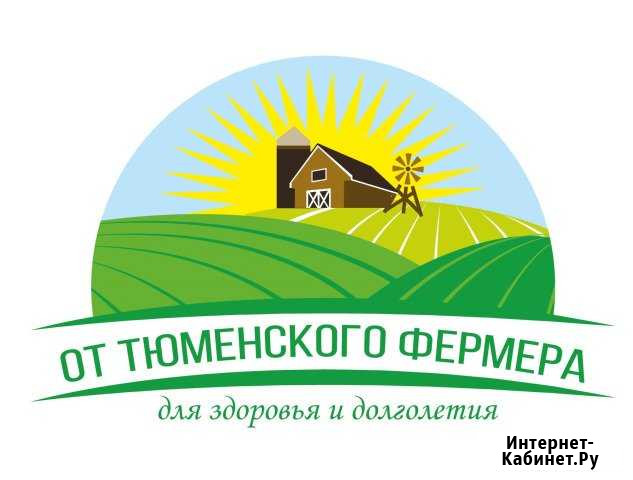 Убойный цех крс Упорово - изображение 1